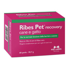 Ribes pet recovery blister 60 perle