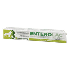 Enterolac pasta siringa 15 g