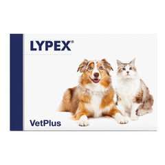 Lypex 60 capsule